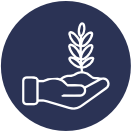amenity
